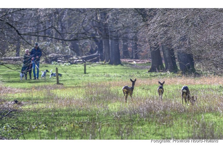 Nieuw bos in Wieringermeer: Robbenoordbos en Dijkgatbos groeien straks aan elkaar