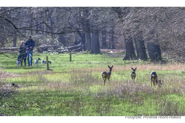 Nieuw bos in Wieringermeer: Robbenoordbos en Dijkgatbos groeien straks aan elkaar