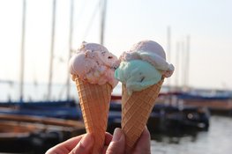 IJssalons in Wieringen