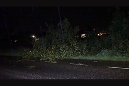 Stormachtige valwind en onweer treft regio: meerdere omgevallen bomen weggehaald