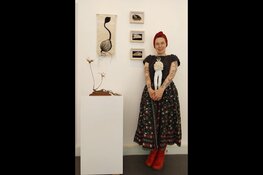 Expositie 'Meet the Artist' op zaterdag 28 juni bij Kunsthuis Steengoed in Anna Paulowna