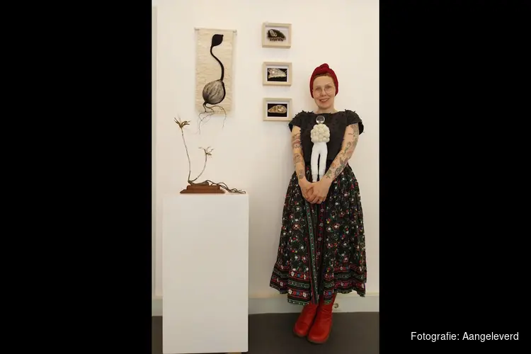 Expositie 'Meet the Artist' op zaterdag 28 juni bij Kunsthuis Steengoed in Anna Paulowna