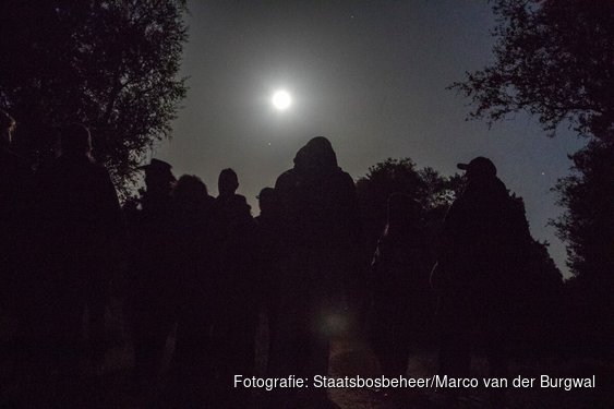 29 augustus Nacht van de vleermuis in het Robbenoordbos