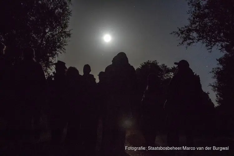 29 augustus Nacht van de vleermuis in het Robbenoordbos