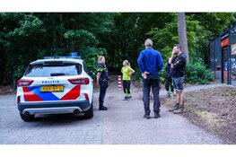 Vermiste Wallaby gevangen in Middenmeer na verdovingsschot