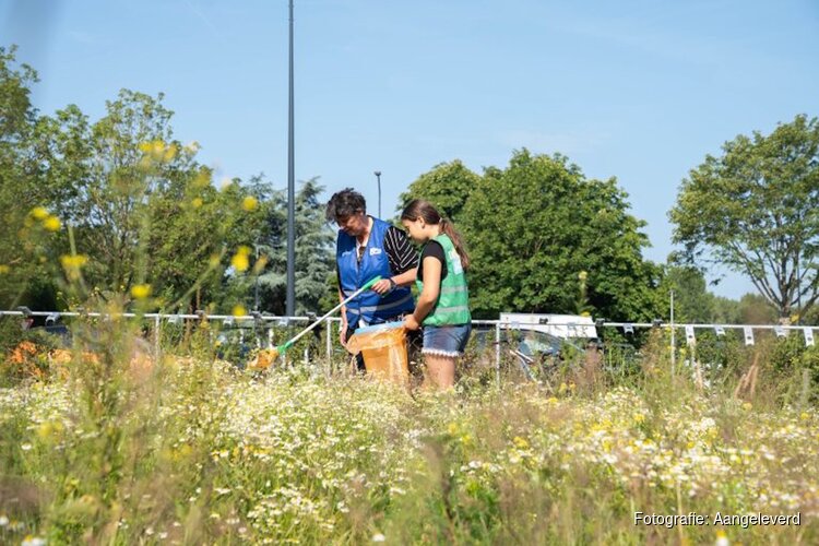Hollands Kroon in 1 dag schoon: samen aan de slag voor een fijne leefomgeving