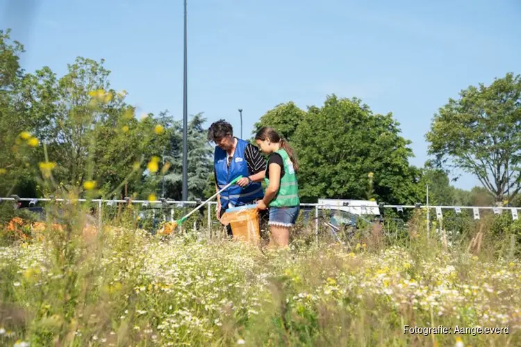 Hollands Kroon in 1 dag schoon: samen aan de slag voor een fijne leefomgeving