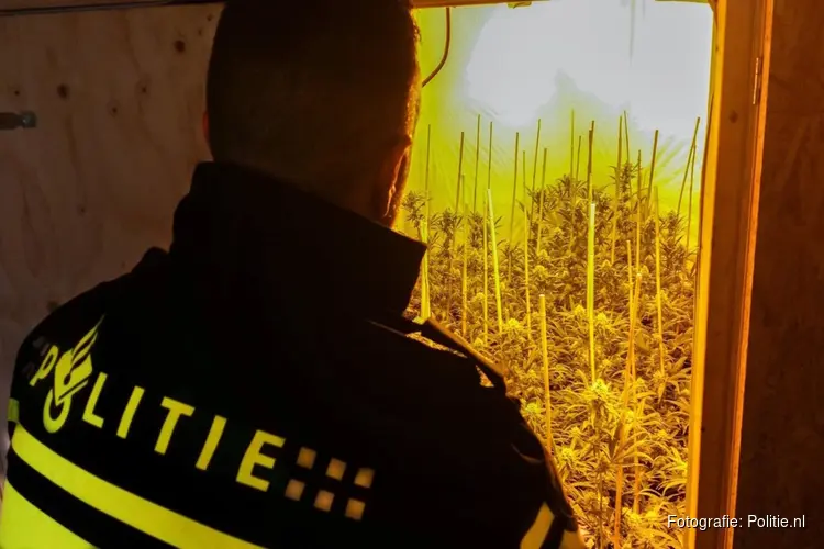 Hennepkwekerij in verborgen ruimte in Lutjewinkel