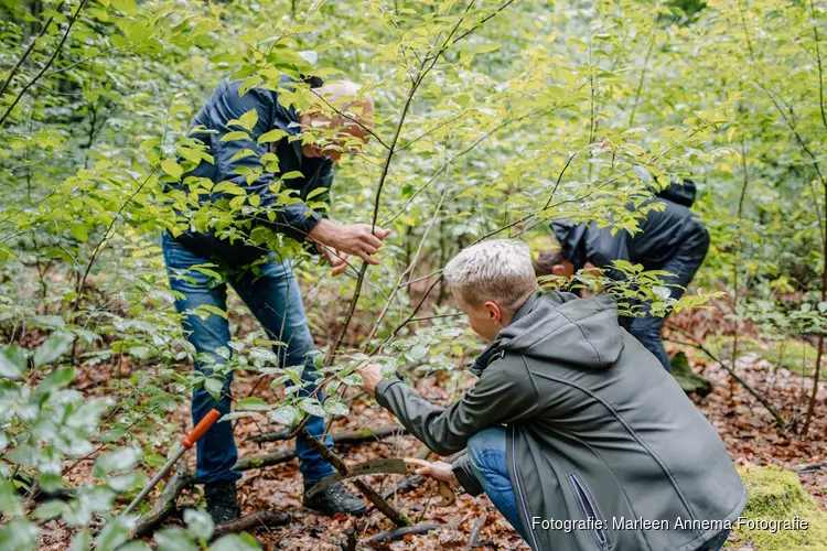 Samen de handen uit de mouwen tijdens de Natuurwerkdag in het Robbenoordbos
