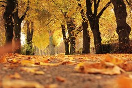 Wisselvallig weekend, daarna tijdelijk droger en zachter