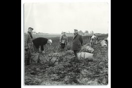 Kapiteyn viert 100 jaar ondernemerschap en mag zich Koninklijk noemen