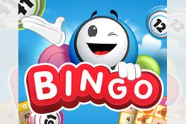 Bingo in Dorpshuis Hippolytushoef.