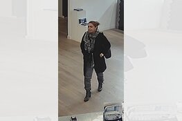 Anna Paulowna - Gezocht - Diefstal sieraden juwelier Anna Paulowna