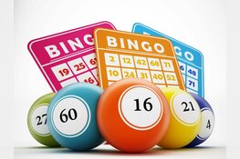Gezellige bingo in Dorpshuis Hippolytushoef