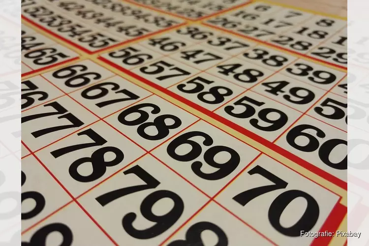 Zaterdagavondbingo in Dorpshuis Hippolytushoef