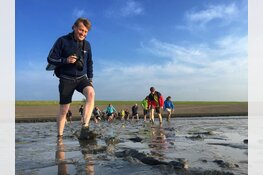 Op fuikexcursie en robbentocht tijdens Dag van het Wad
