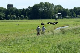Fietsen met IVN vanuit het Rundveemuseum in Aartwoud