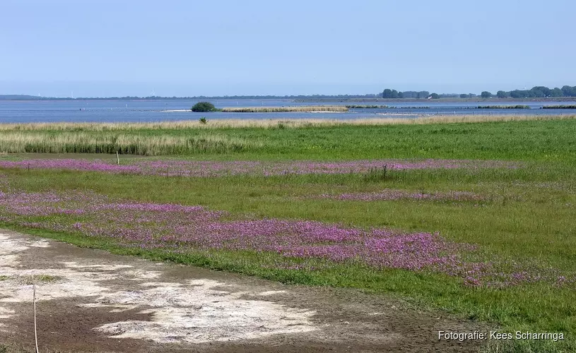 De Verzakking, ontdek dit natuurgebied bij avondlicht
