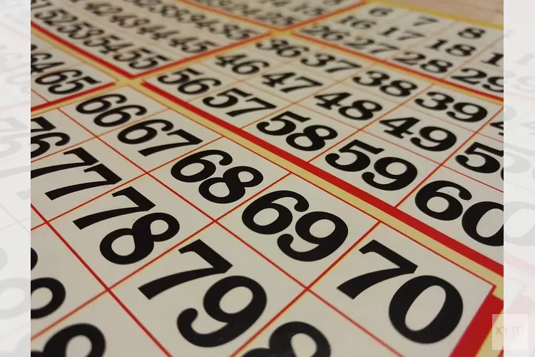 D.A.S. houdt zaterdagavondbingo in Dorpshuis Hippolytushoef