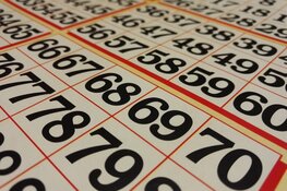 De Dörper Activiteiten Sociëteit (de D.A.S.) organiseert een avondbingo