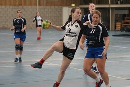 ZAP boekt progressie